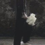 豆友O_Bx1YTonY