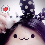 東姑不敗