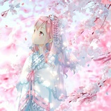林林