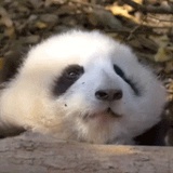么么