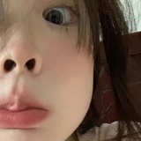 猫之茗