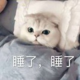 明月公主是我推