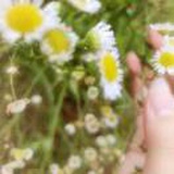 豆友kEo8bFFdW8