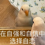 载酒