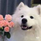 豆友rsyINKUvDE