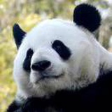 豆友zAB9TNTx7c