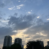 阳光真好