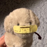 不知道怎么学