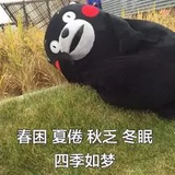 川沙崽