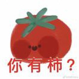 韩佳瑶