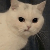...n.