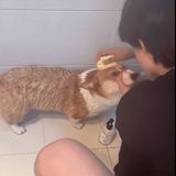 密码