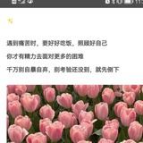 黄檀