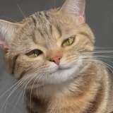 不朽