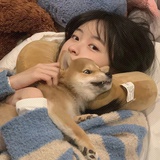 hshuebdh