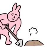 艾露猫饲养员