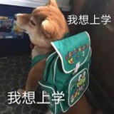 豆友3R6erZadLo