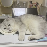过期少女潘漂亮