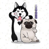 二大爷的悠闲
