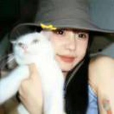 bobo