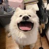 豆友Vo2WdrRWfE