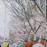 瑗疯狂夫斯基