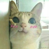 昌维