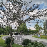 莫名