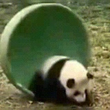 陨星