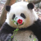 豆友272705204