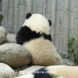 豆友272705486