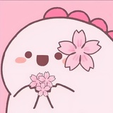 会不会关于