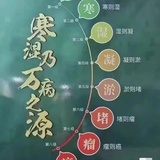 倪柴胡