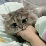 豆友7799943626