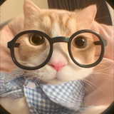 走路不看路