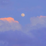 青瓜啊青瓜
