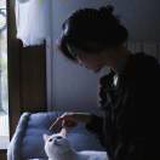 落雨地