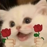 。