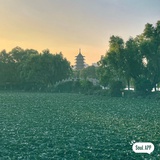 海底的石头