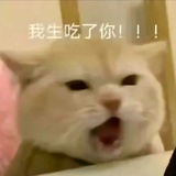 想不出来名字了