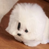8588