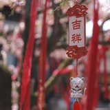 云边边儿