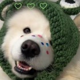 豆友7831779959