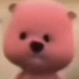 黄杨