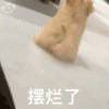 没运和普通