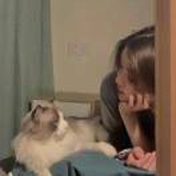 豆友2j5l9Yqg1E