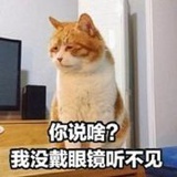豆友5696529847