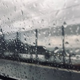 脆脆鲨