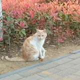 MTI回信