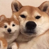 旋转跳跃闭着眼